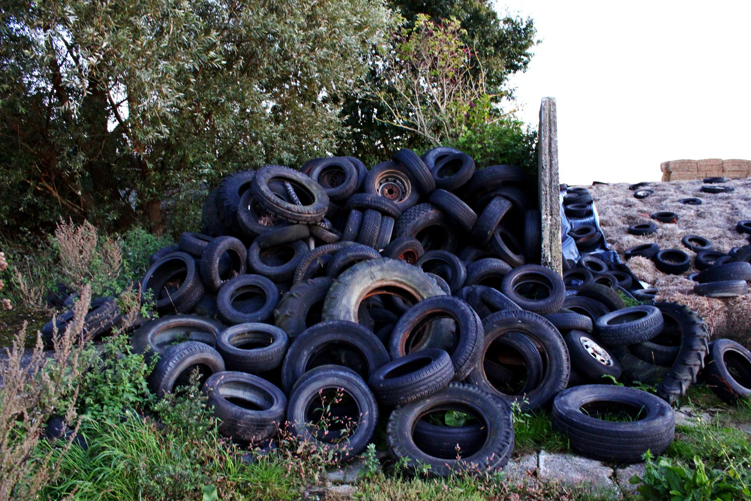 Gujarat’s Role in Leading Rubber Recycling in India